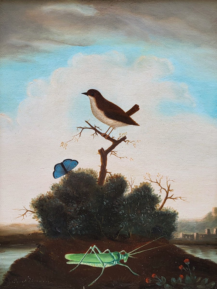 Oil Paintings On Canvas, Birds, Insects, And Butterflies By P. Neumann-photo-2