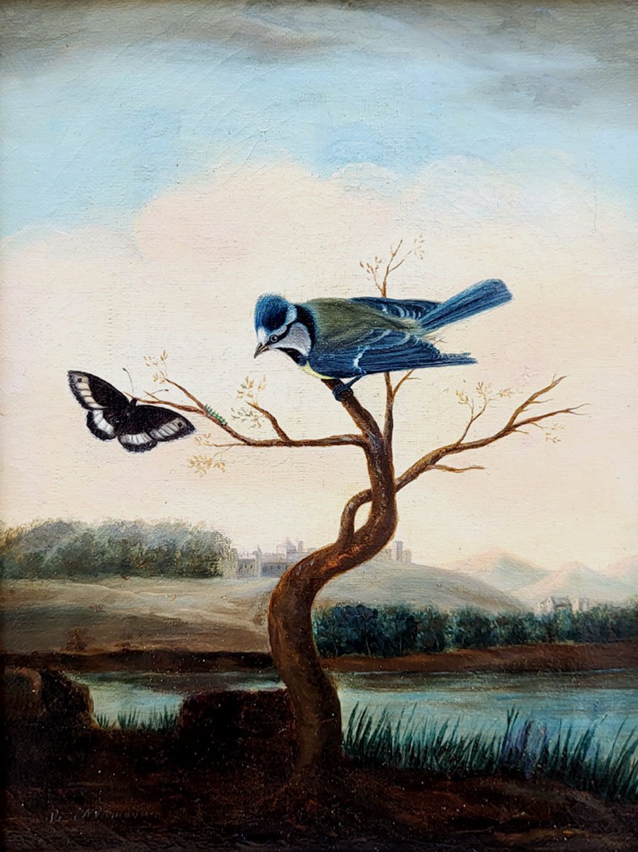 Oil Paintings On Canvas, Birds, Insects, And Butterflies By P. Neumann-photo-4