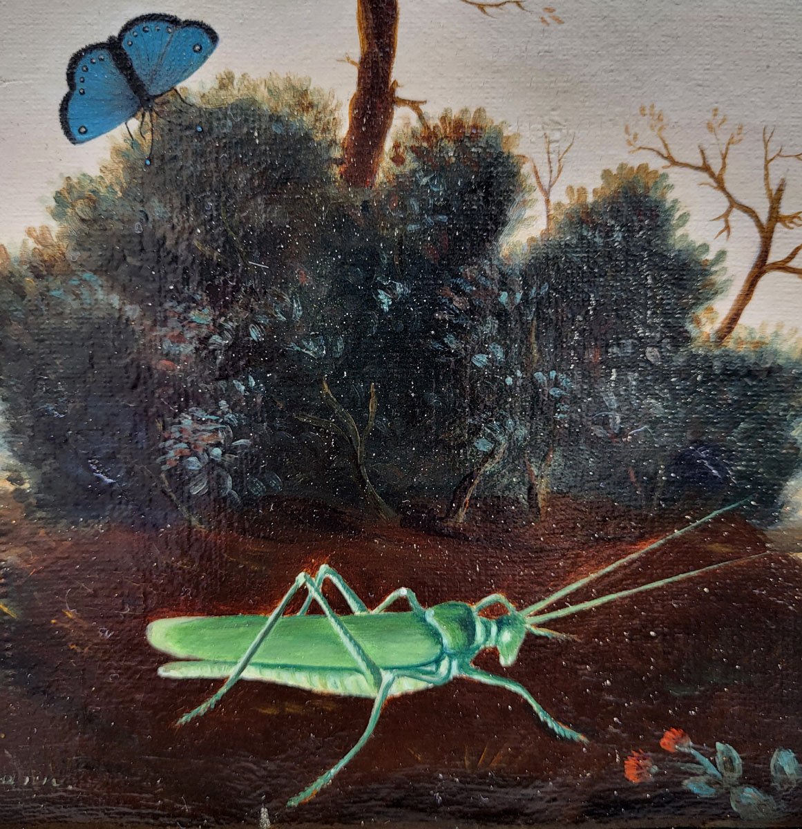 Oil Paintings On Canvas, Birds, Insects, And Butterflies By P. Neumann-photo-2