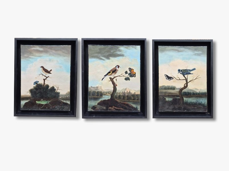 Oil Paintings On Canvas, Birds, Insects, And Butterflies By P. Neumann