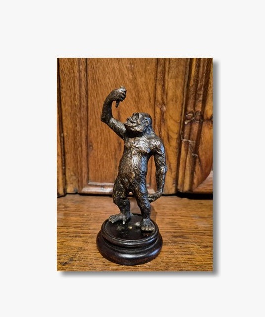 A Small 19th-century Bronze Gorilla 