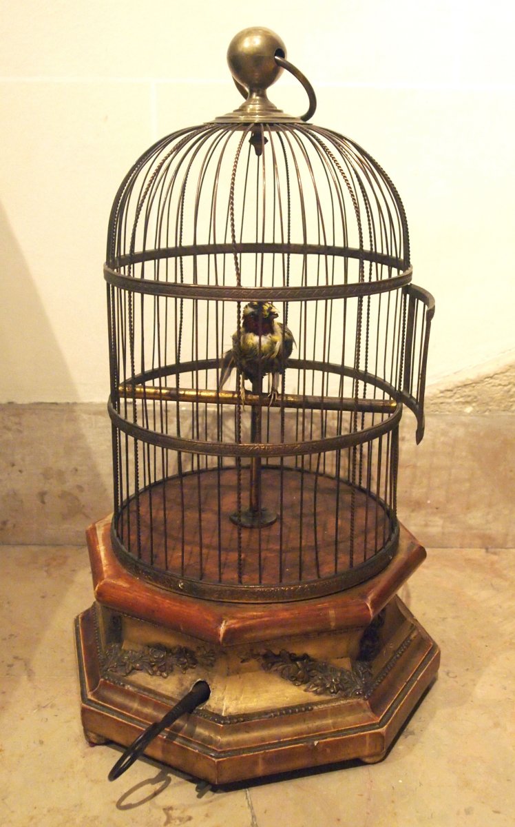 Songbird Cage-photo-2