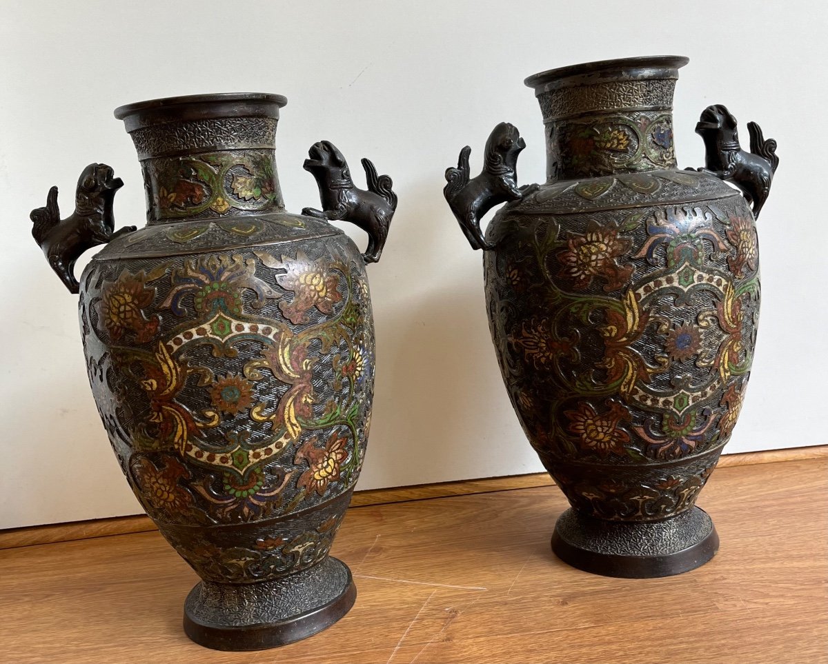 Paire De Vases En Cloisonné -photo-2