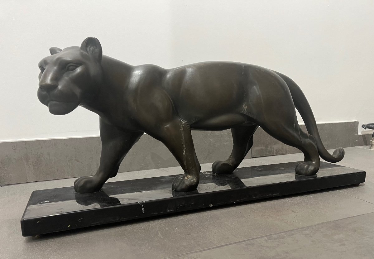 Panther By Salvator Riolo-photo-2