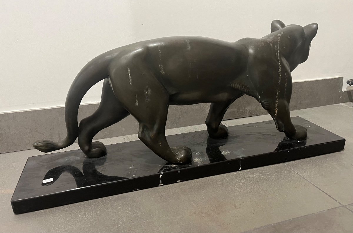 Panther By Salvator Riolo-photo-2