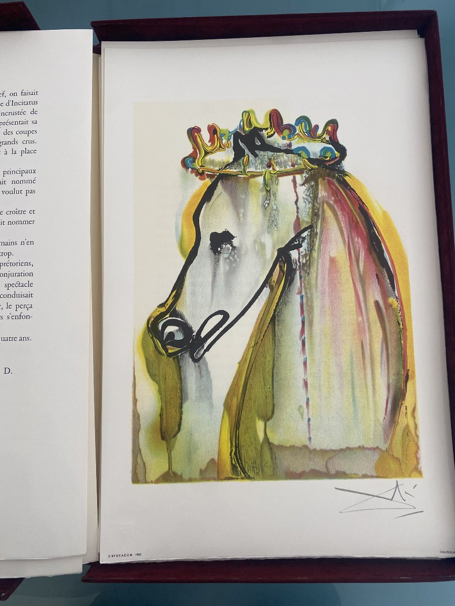 Ouvrage "Les chevaux" de Salvador Dalí - -photo-1