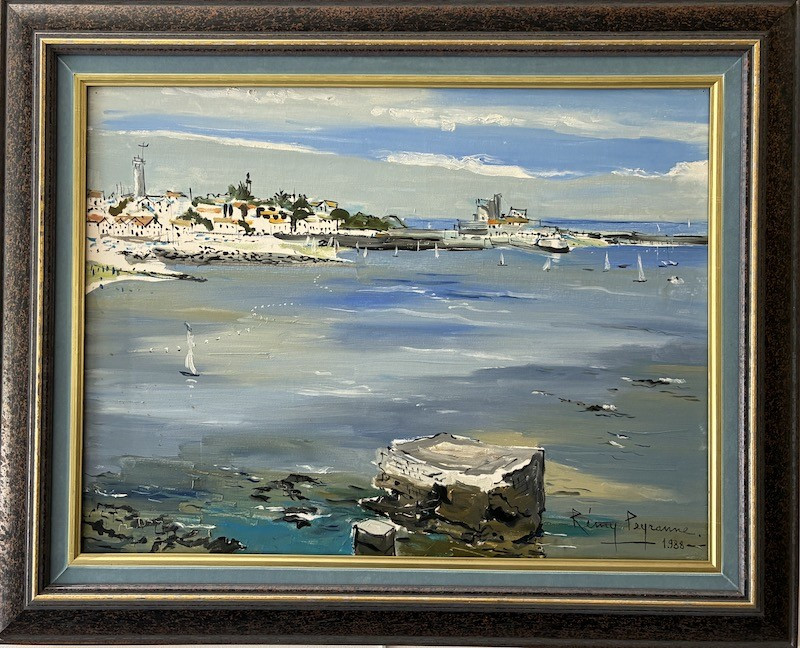 Remy Peyranne - Ciboure Bay