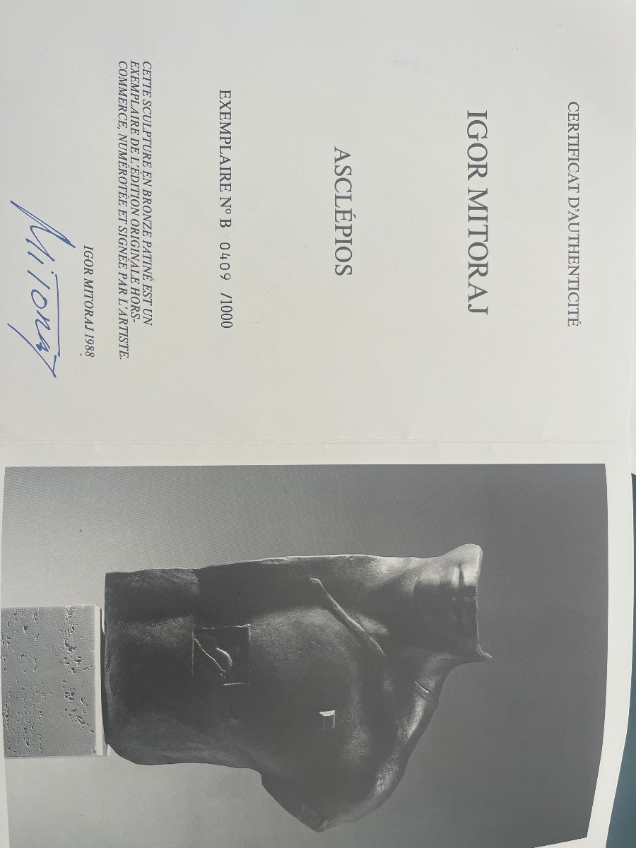 Igor MITORAJ (1944-2014)  Asclepios(1988)-photo-1