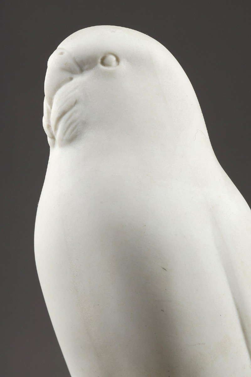 Perruche Moineau - Armand Petersen (1891-1969)-photo-2