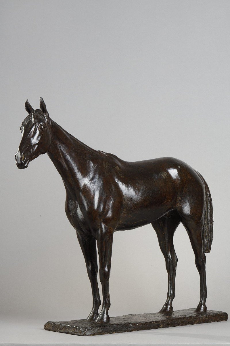 Thoroughbred "coyote" - Georges Malissard (1877-1942)-photo-3