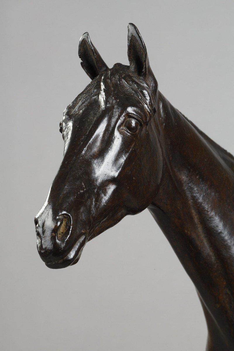 Thoroughbred "coyote" - Georges Malissard (1877-1942)-photo-4
