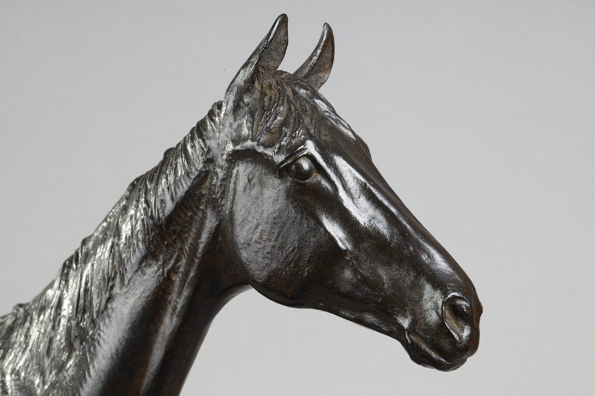 Thoroughbred "coyote" - Georges Malissard (1877-1942)-photo-2