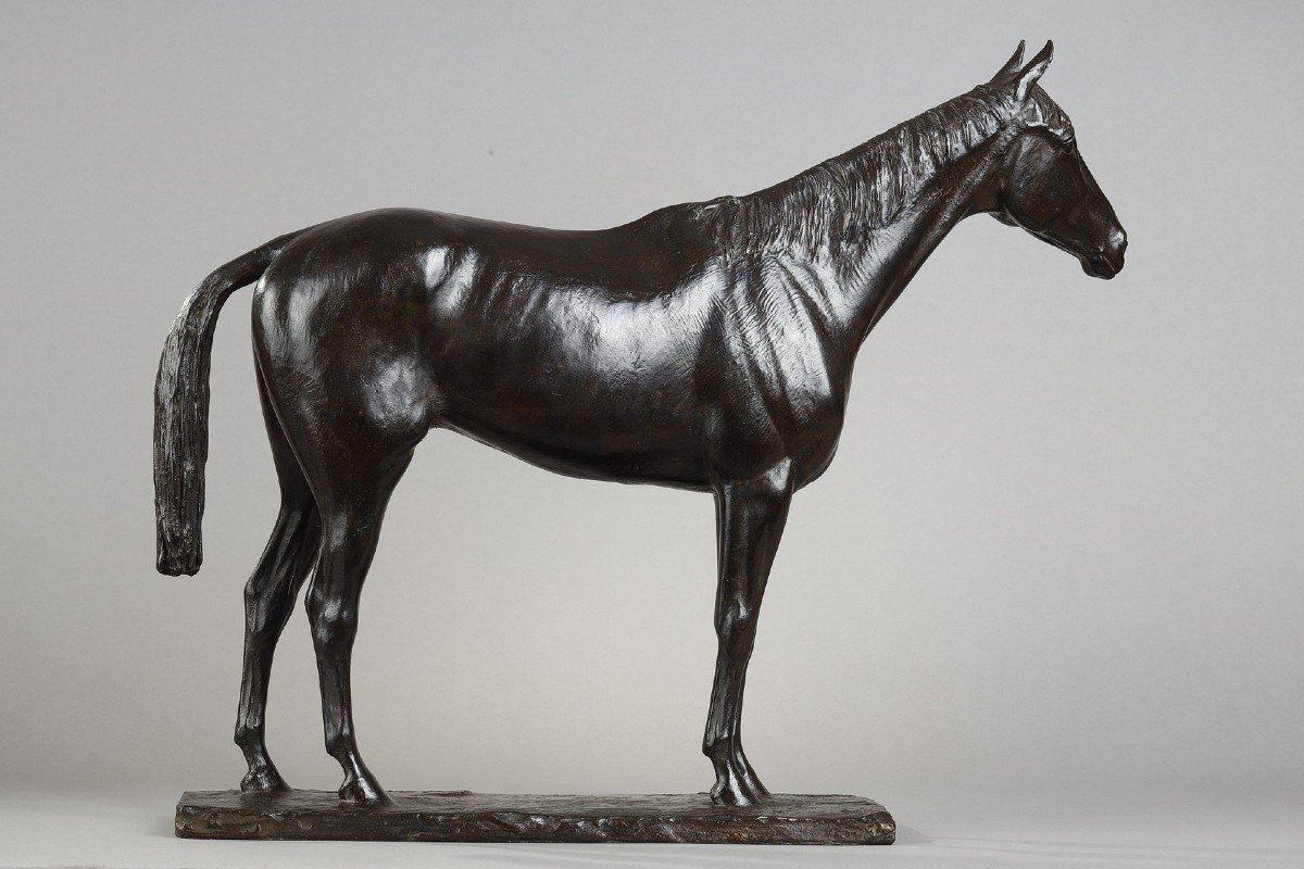 Thoroughbred "coyote" - Georges Malissard (1877-1942)-photo-3