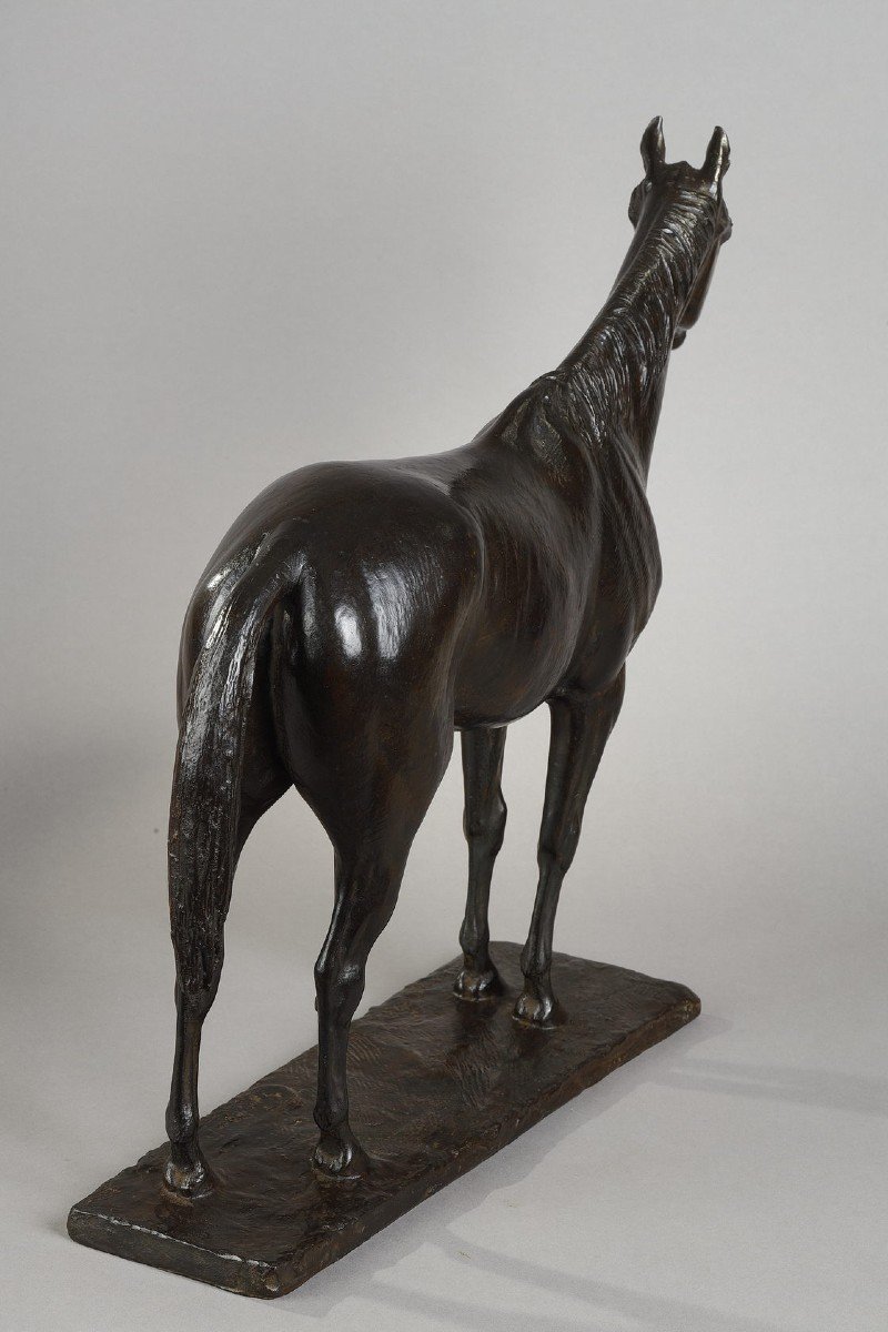 Thoroughbred "coyote" - Georges Malissard (1877-1942)-photo-4