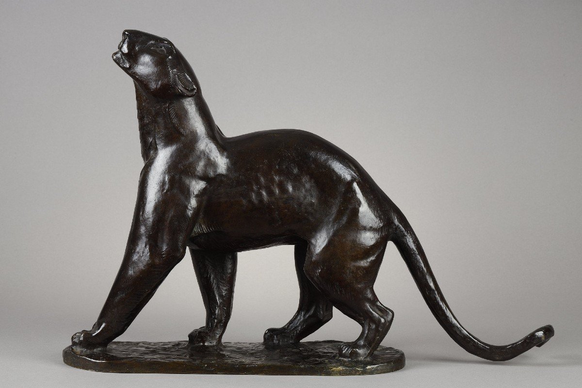 Panthère humant - Georges GUYOT (1885-1972)