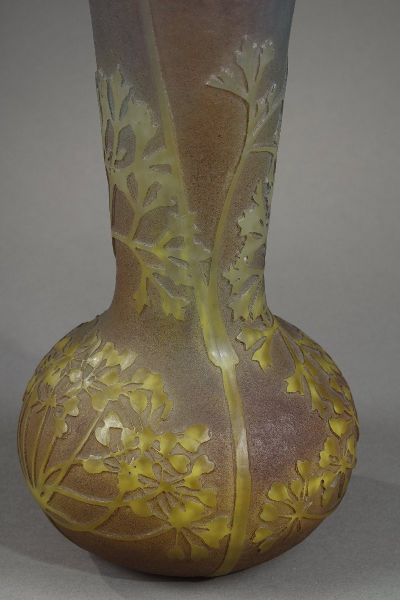 Vase With Hogweed And Insects - Daum-photo-3