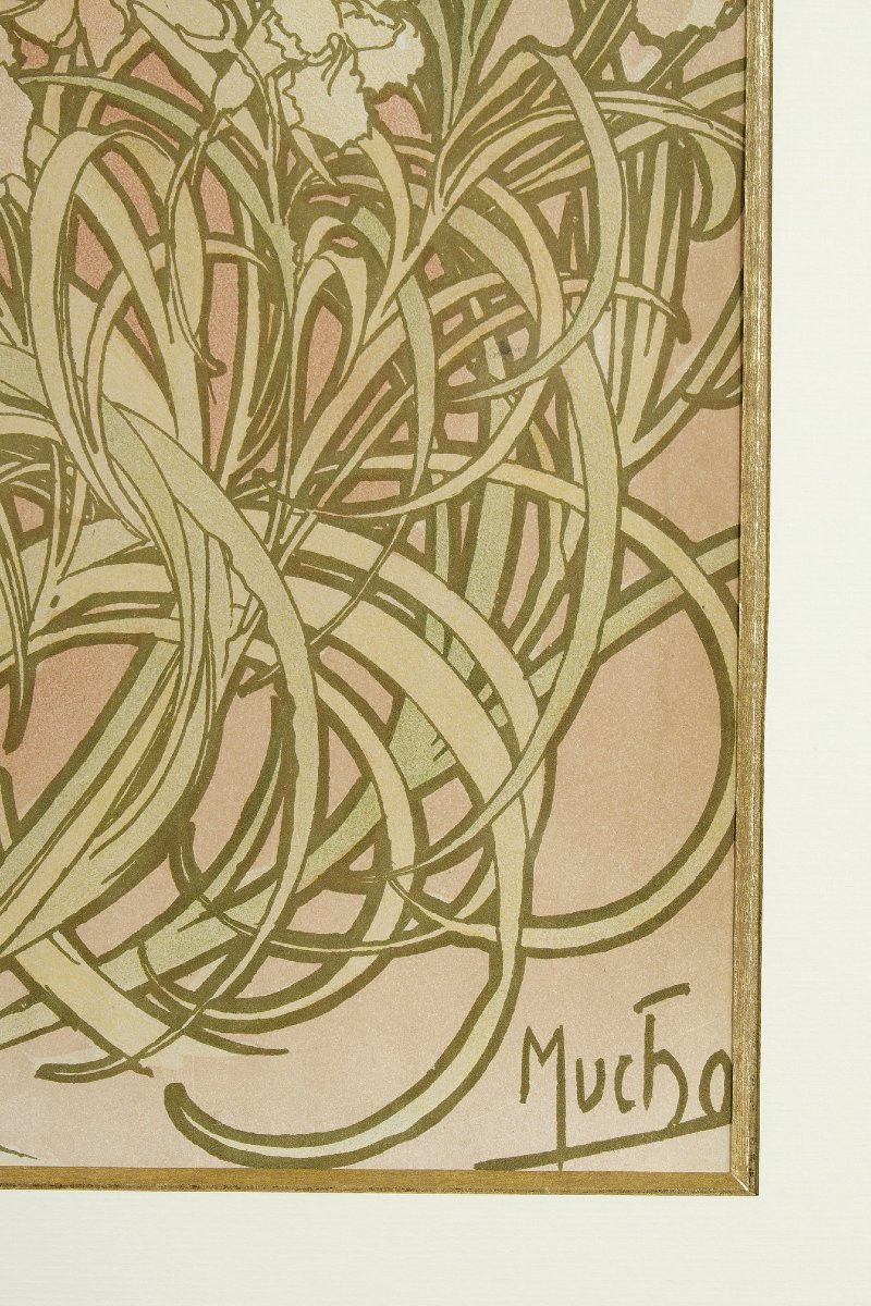 Œillet - Alphonse MUCHA (1860-1939)-photo-3