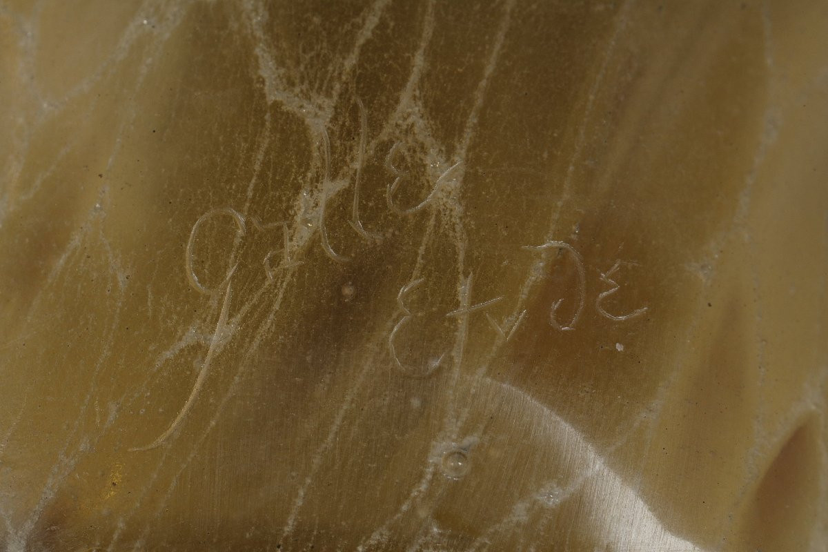 Study For The Vase "pervincia" - Emile Galle (1846-1904)-photo-8