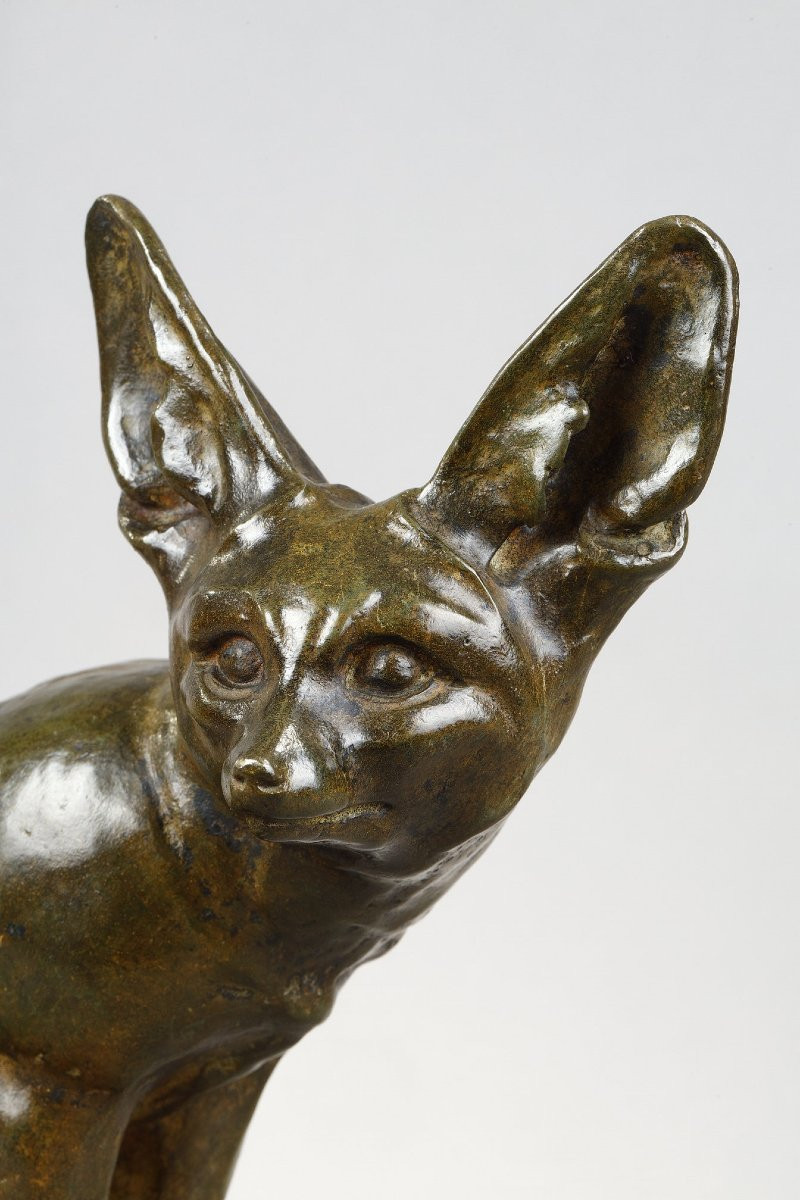 Fennec assis - Edouard-Marcel SANDOZ (1881-1971)-photo-2