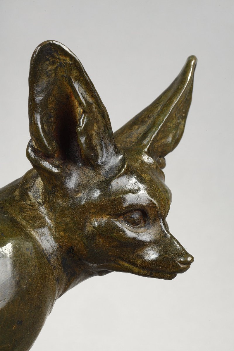 Fennec assis - Edouard-Marcel SANDOZ (1881-1971)-photo-4