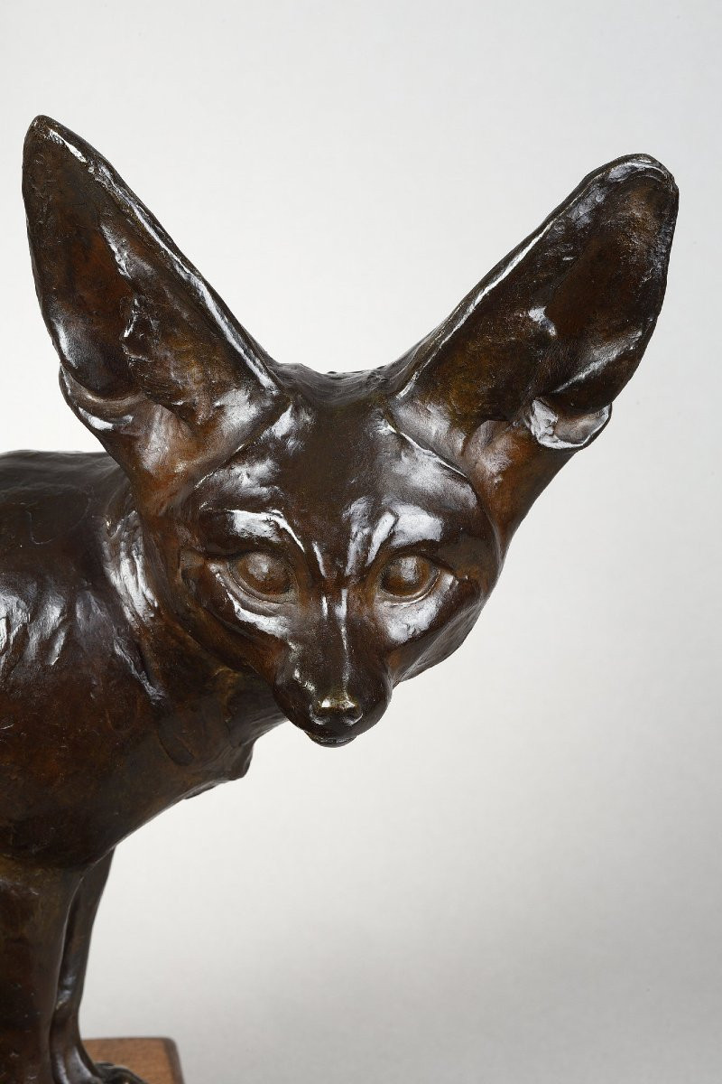 Fennec Sitting With Head Turned - Edouard-marcel Sandoz (1881-1971)-photo-2