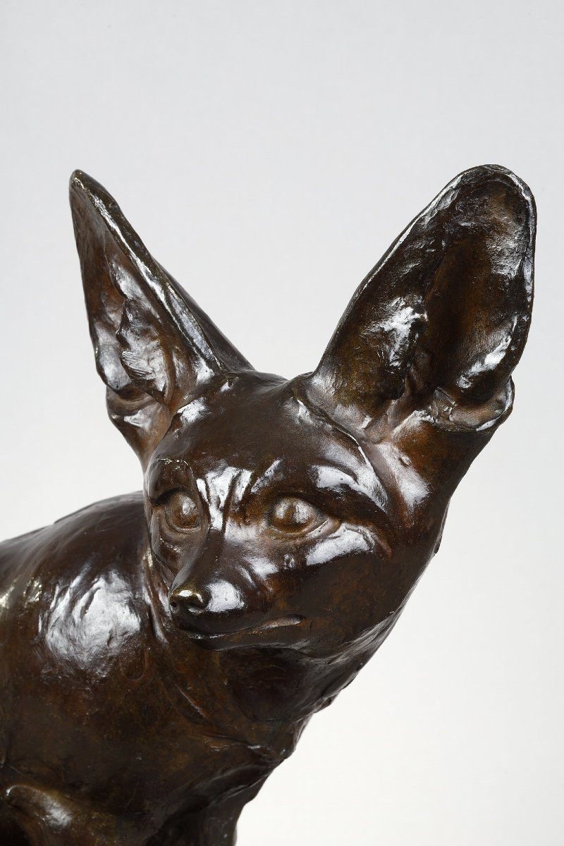 Fennec Sitting With Head Turned - Edouard-marcel Sandoz (1881-1971)-photo-4
