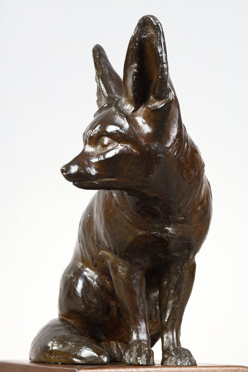 Fennec Sitting With Head Turned - Edouard-marcel Sandoz (1881-1971)-photo-1