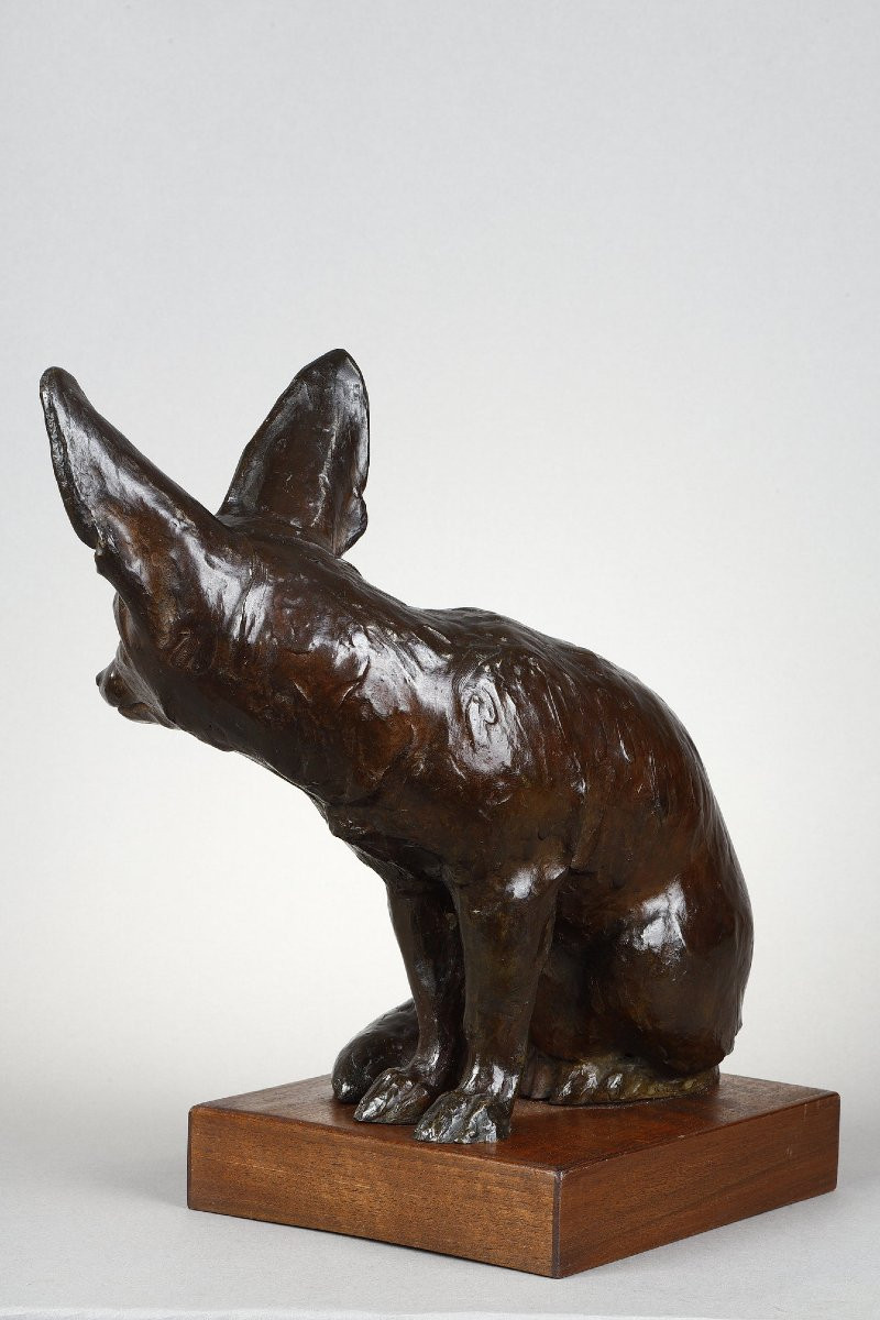 Fennec Sitting With Head Turned - Edouard-marcel Sandoz (1881-1971)-photo-2