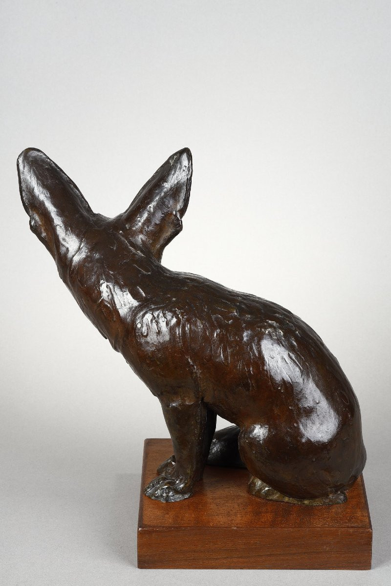 Fennec Sitting With Head Turned - Edouard-marcel Sandoz (1881-1971)-photo-3