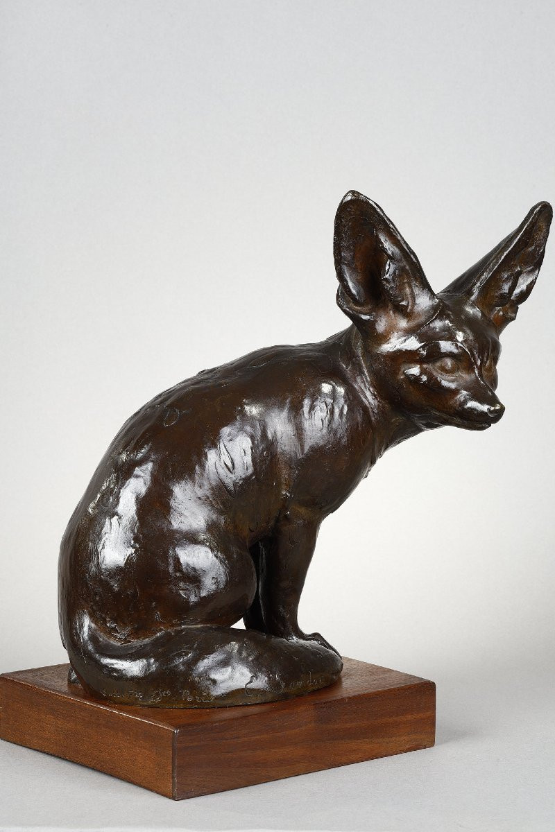 Fennec Sitting With Head Turned - Edouard-marcel Sandoz (1881-1971)-photo-4