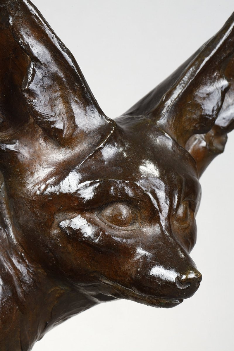 Fennec Sitting With Head Turned - Edouard-marcel Sandoz (1881-1971)-photo-5