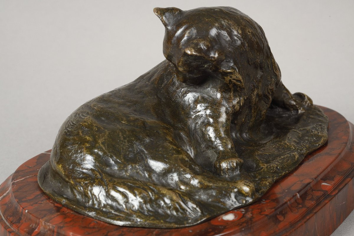 Persian Cat - Theophilus Alexander Steinlen (1859-1923)-photo-2