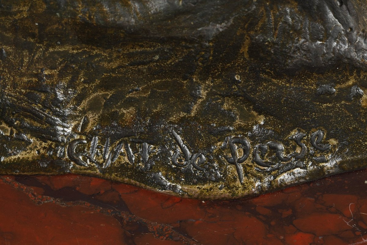 Persian Cat - Theophilus Alexander Steinlen (1859-1923)-photo-4