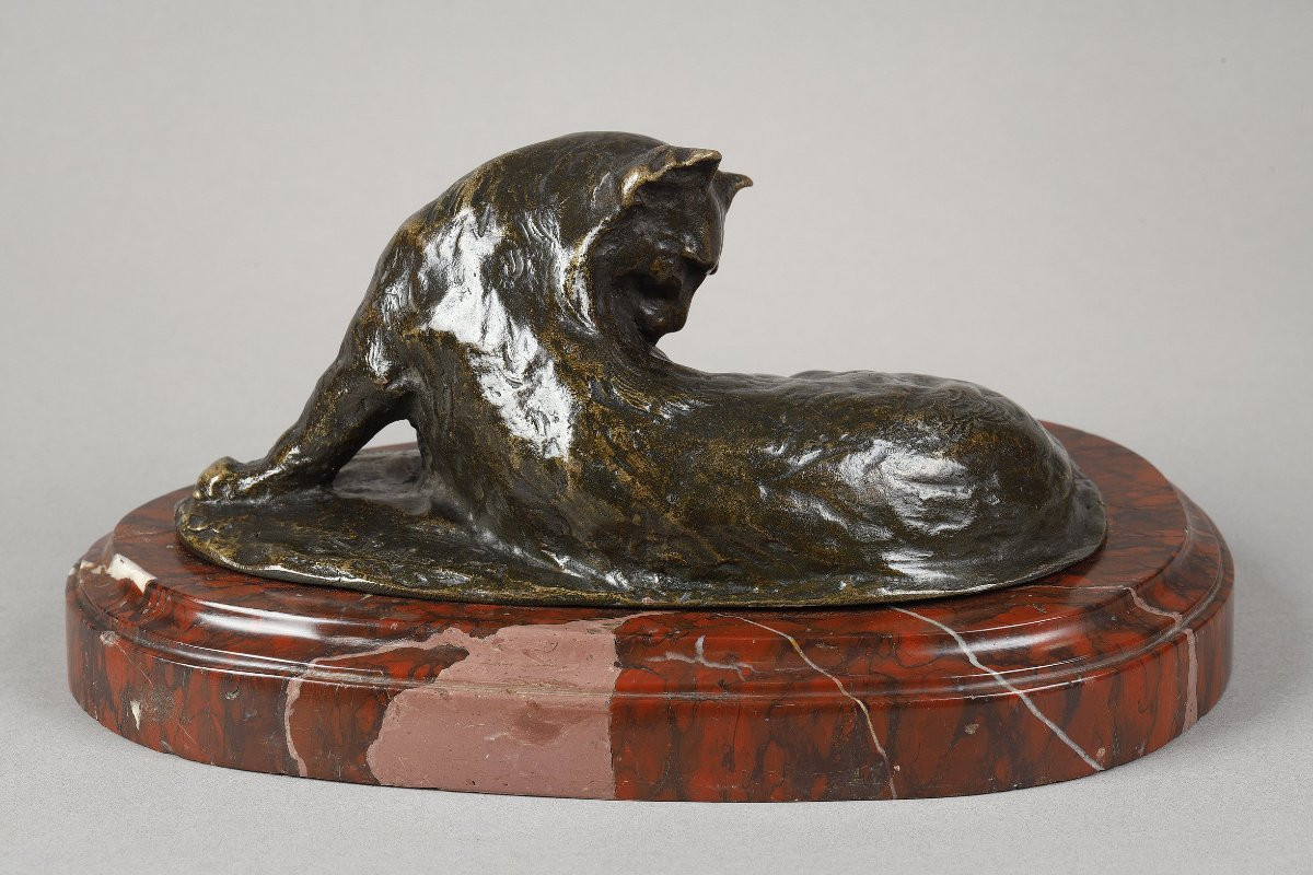 Persian Cat - Theophilus Alexander Steinlen (1859-1923)-photo-3