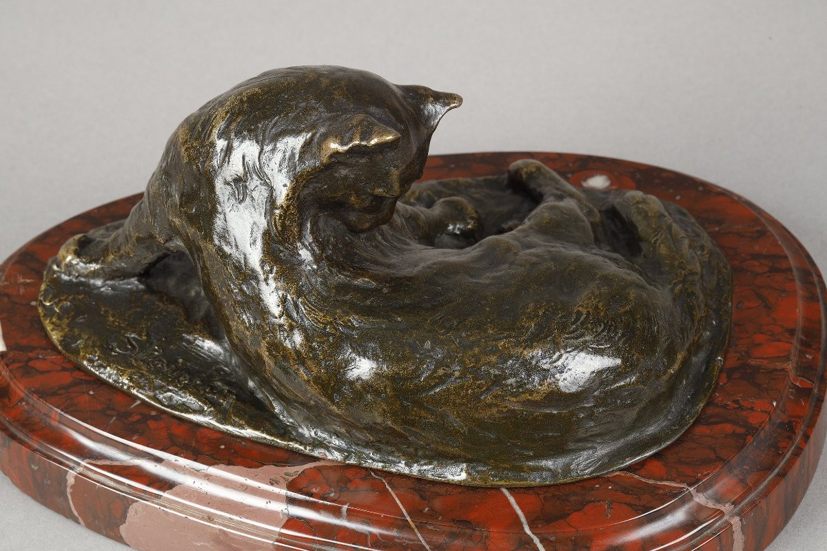 Persian Cat - Theophilus Alexander Steinlen (1859-1923)-photo-4