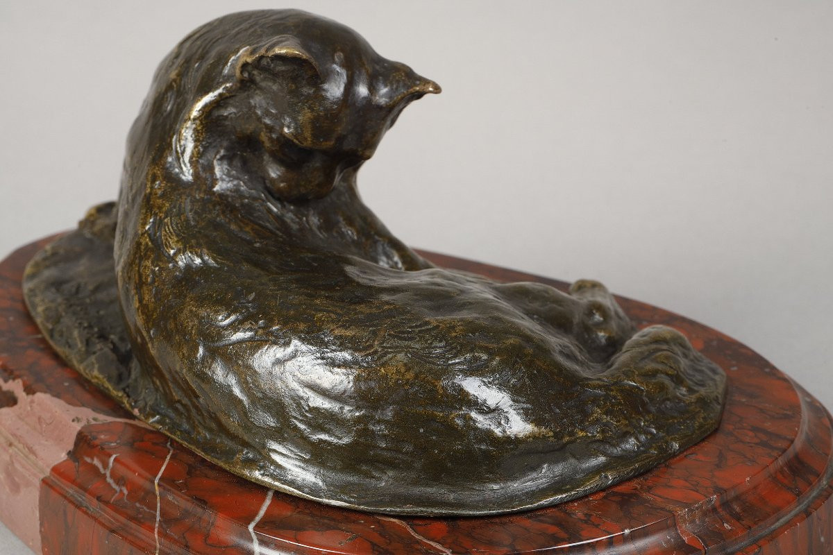 Persian Cat - Theophilus Alexander Steinlen (1859-1923)-photo-5