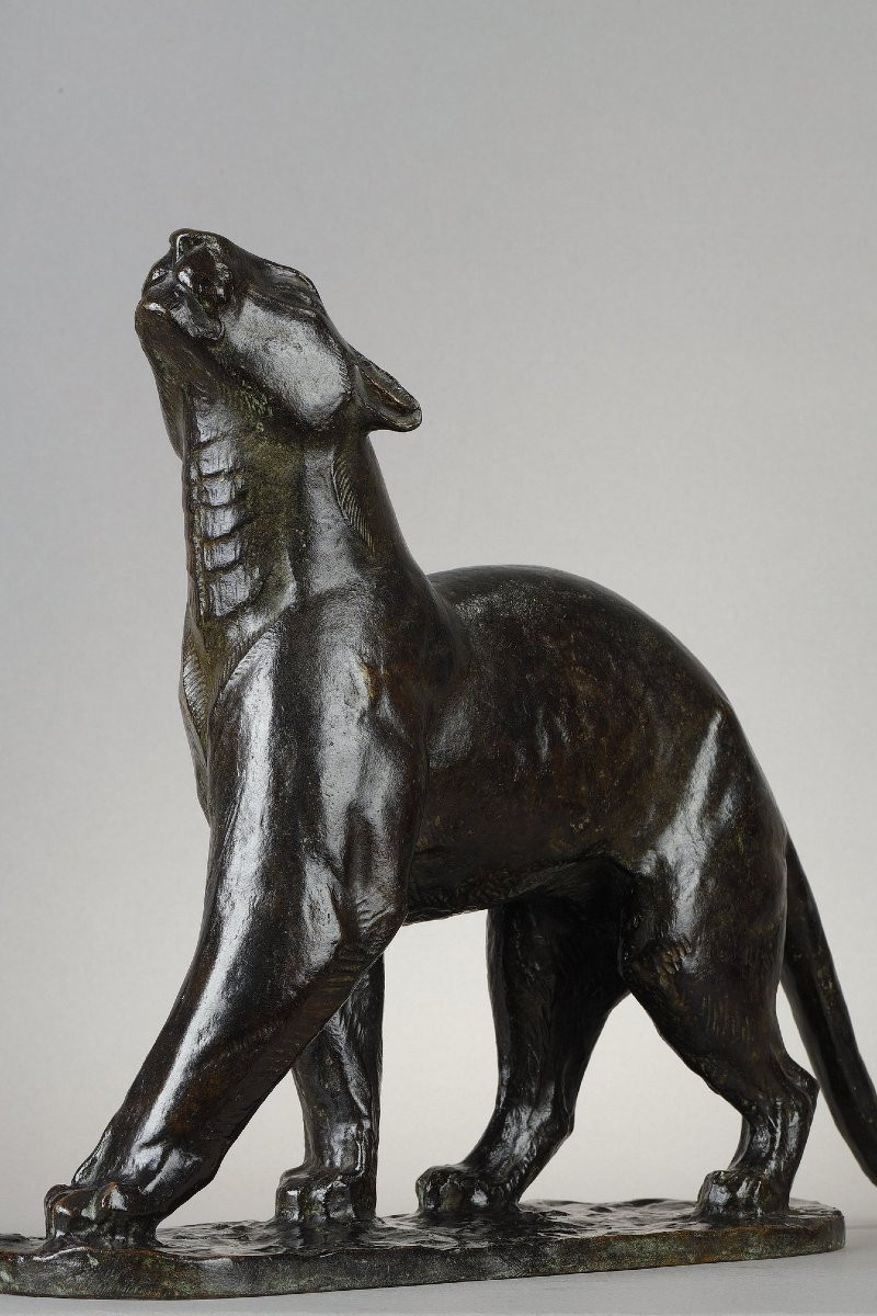 Panther Sniffing - Georges Guyot (1885-1972)-photo-2