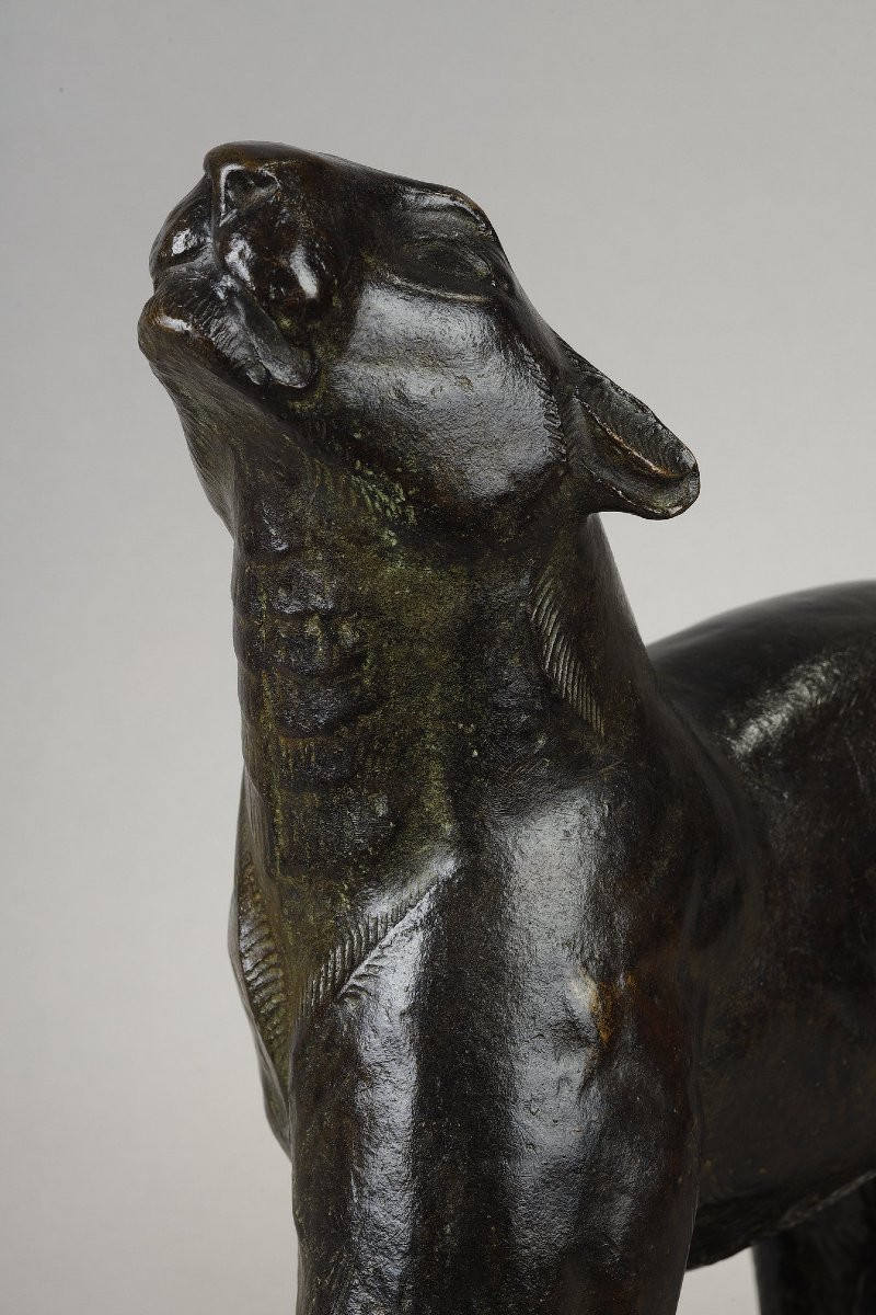 Panther Sniffing - Georges Guyot (1885-1972)-photo-3