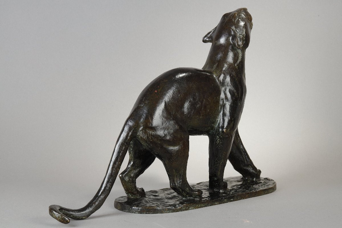 Panther Sniffing - Georges Guyot (1885-1972)-photo-5