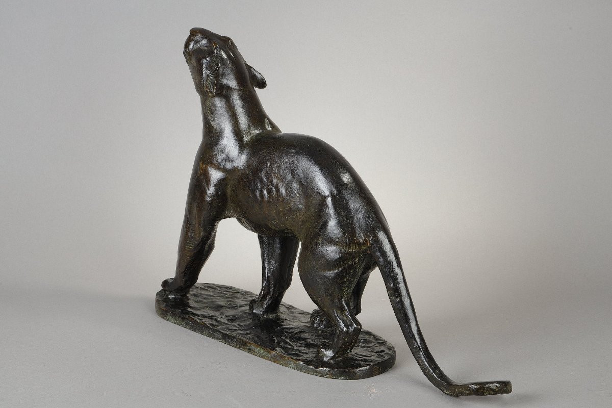 Panther Sniffing - Georges Guyot (1885-1972)-photo-6
