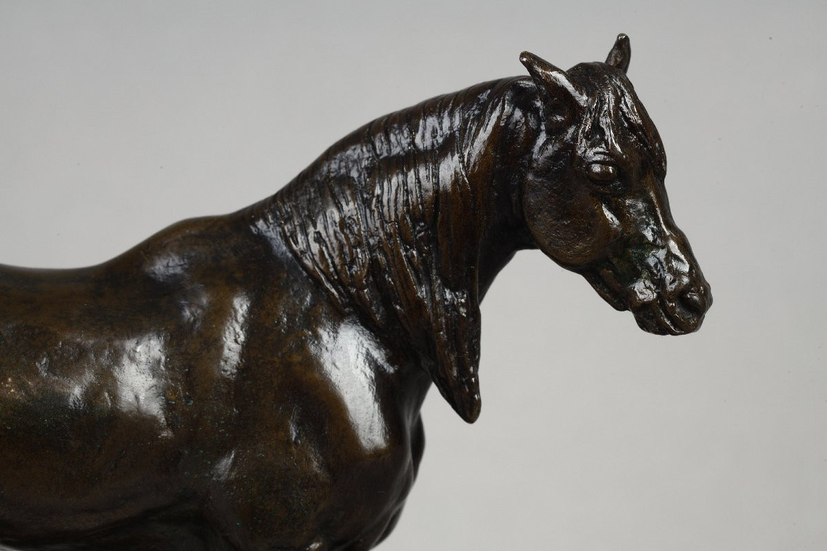 Half-blood Horse, Head Raised - Antoine-louis Barye (1796-1875)-photo-2
