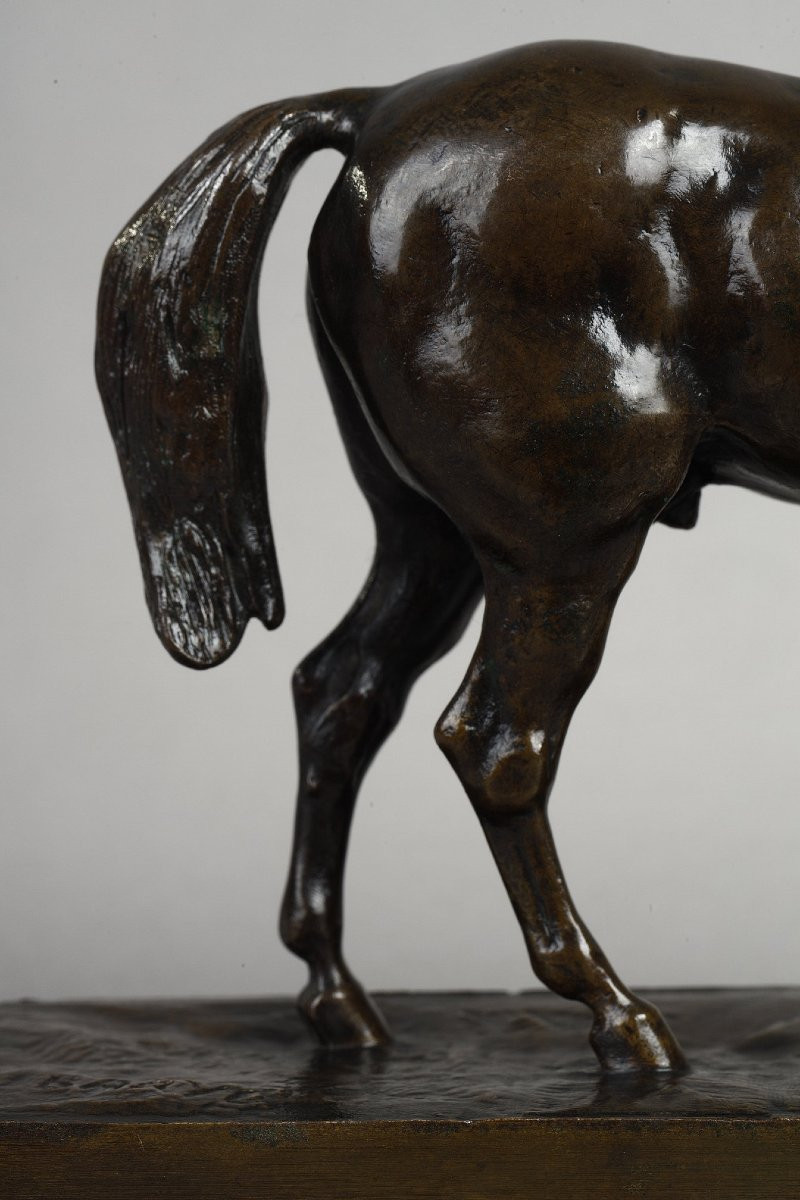 Half-blood Horse, Head Raised - Antoine-louis Barye (1796-1875)-photo-3