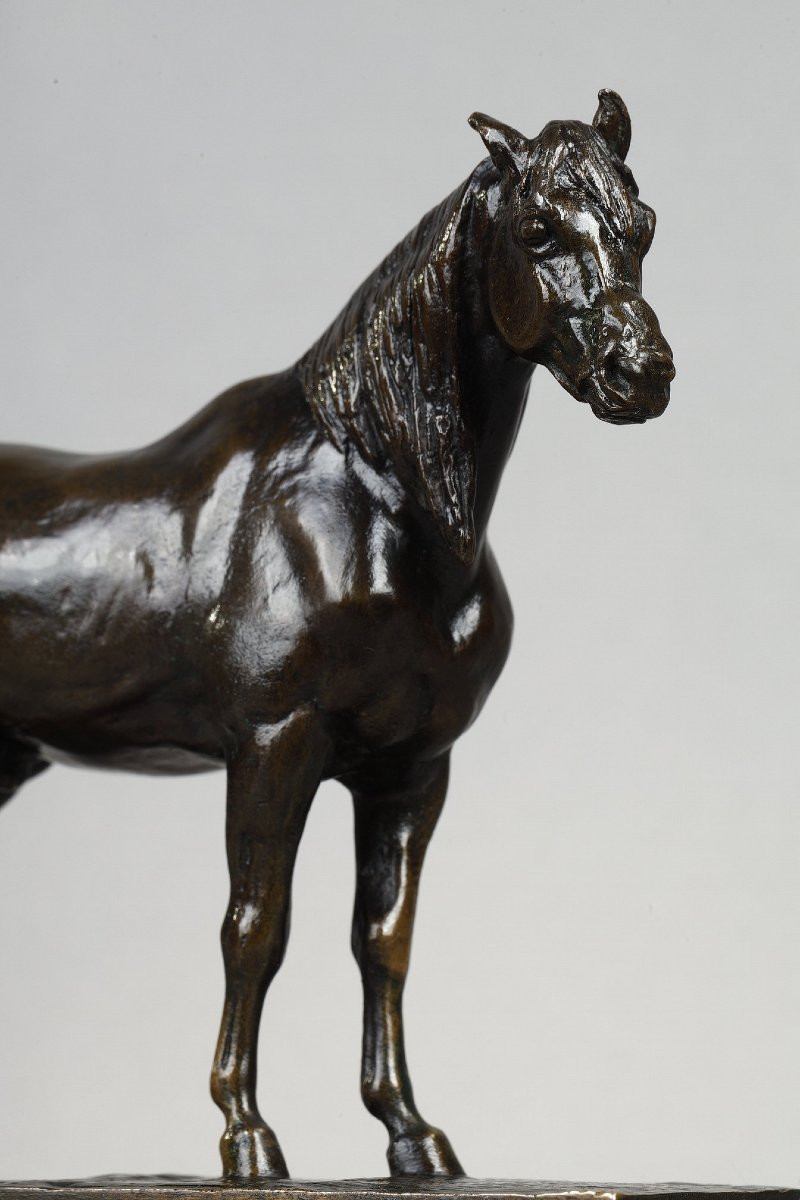 Half-blood Horse, Head Raised - Antoine-louis Barye (1796-1875)-photo-4
