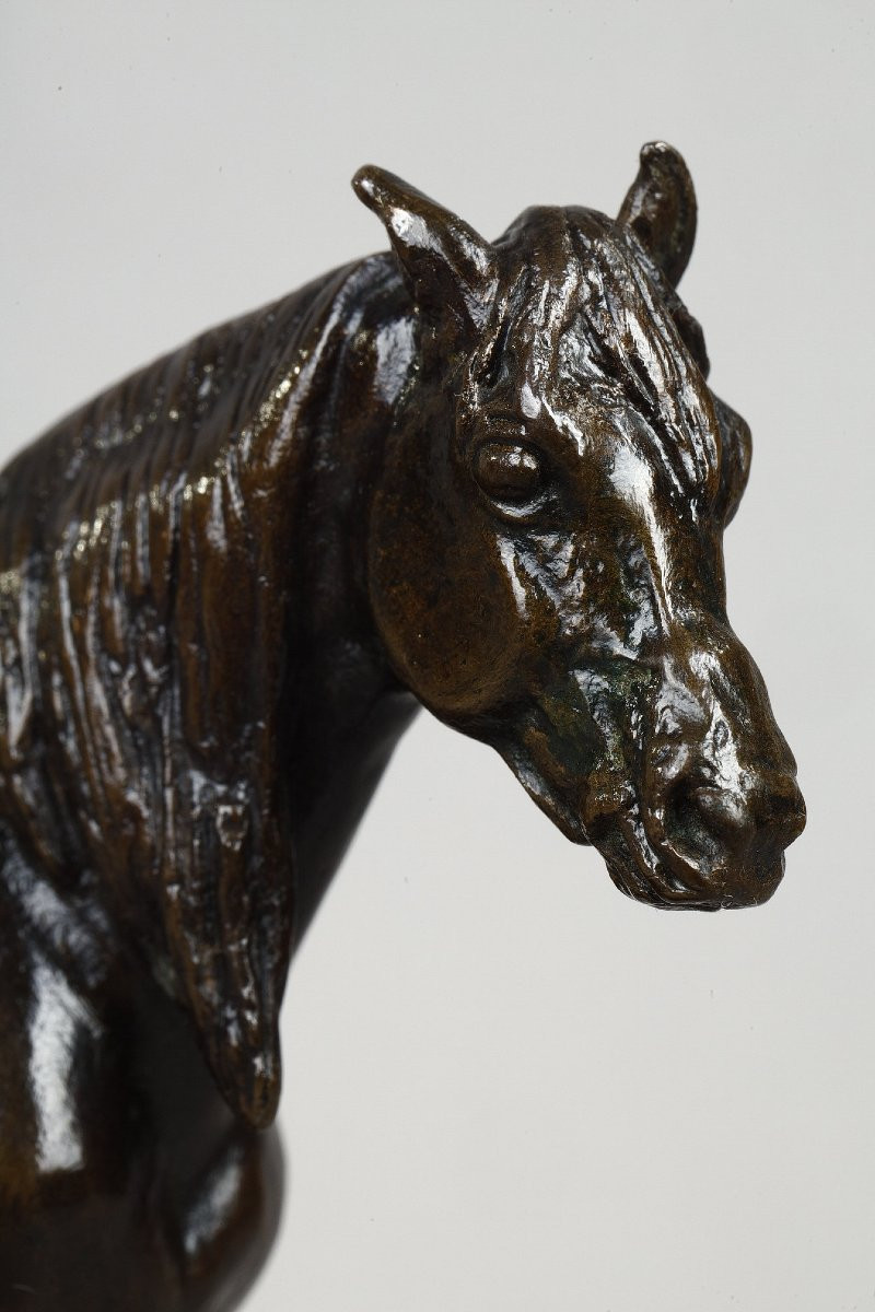 Half-blood Horse, Head Raised - Antoine-louis Barye (1796-1875)-photo-2