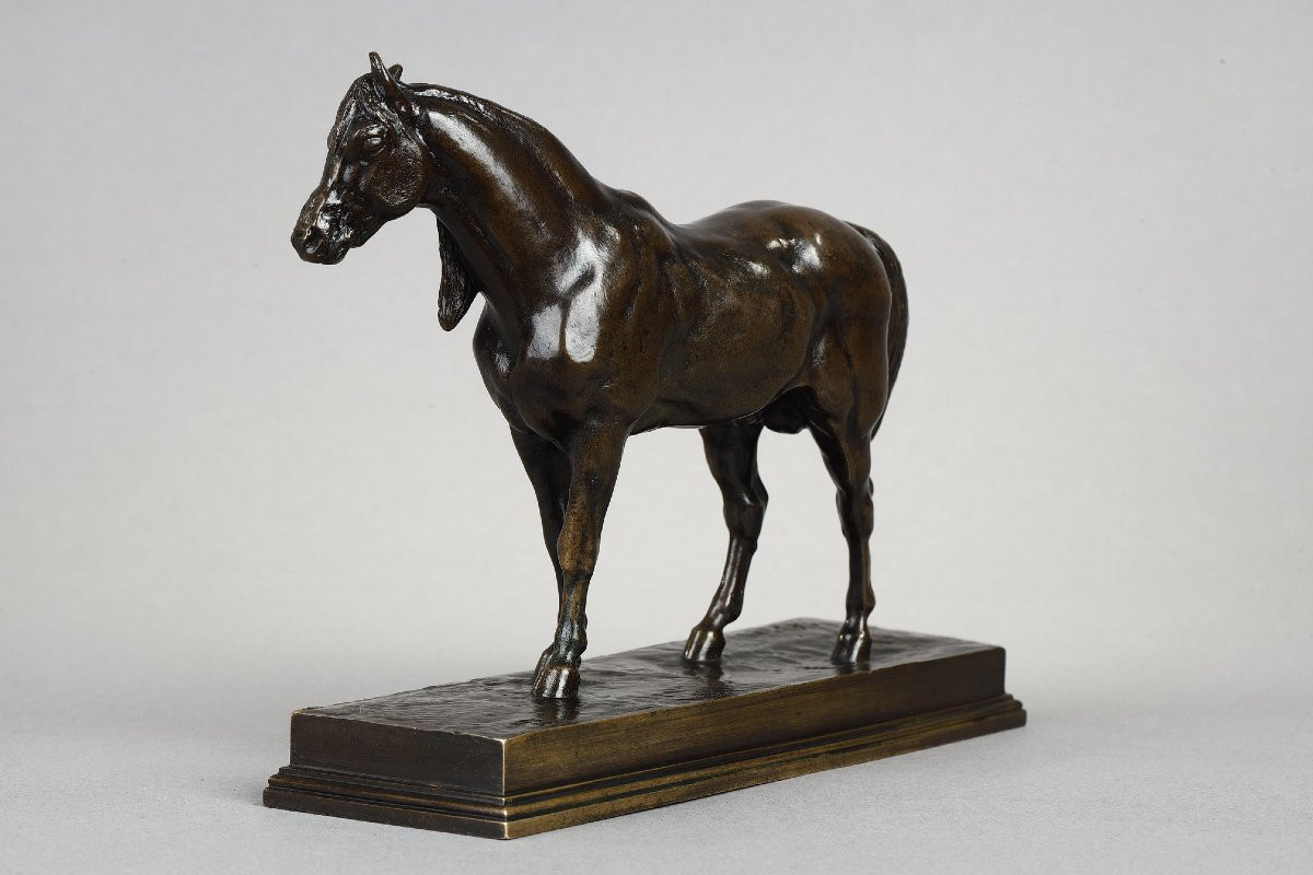 Half-blood Horse, Head Raised - Antoine-louis Barye (1796-1875)-photo-4