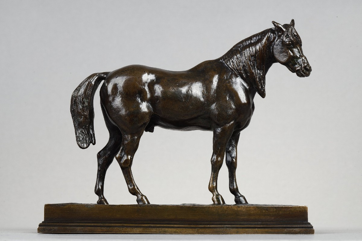 Half-blood Horse, Head Raised - Antoine-louis Barye (1796-1875)