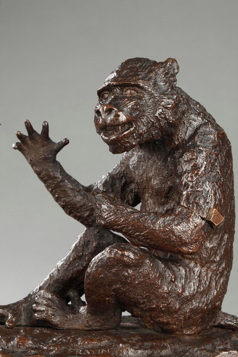 Monkey - Christophe Fratin (1801-1864)-photo-2