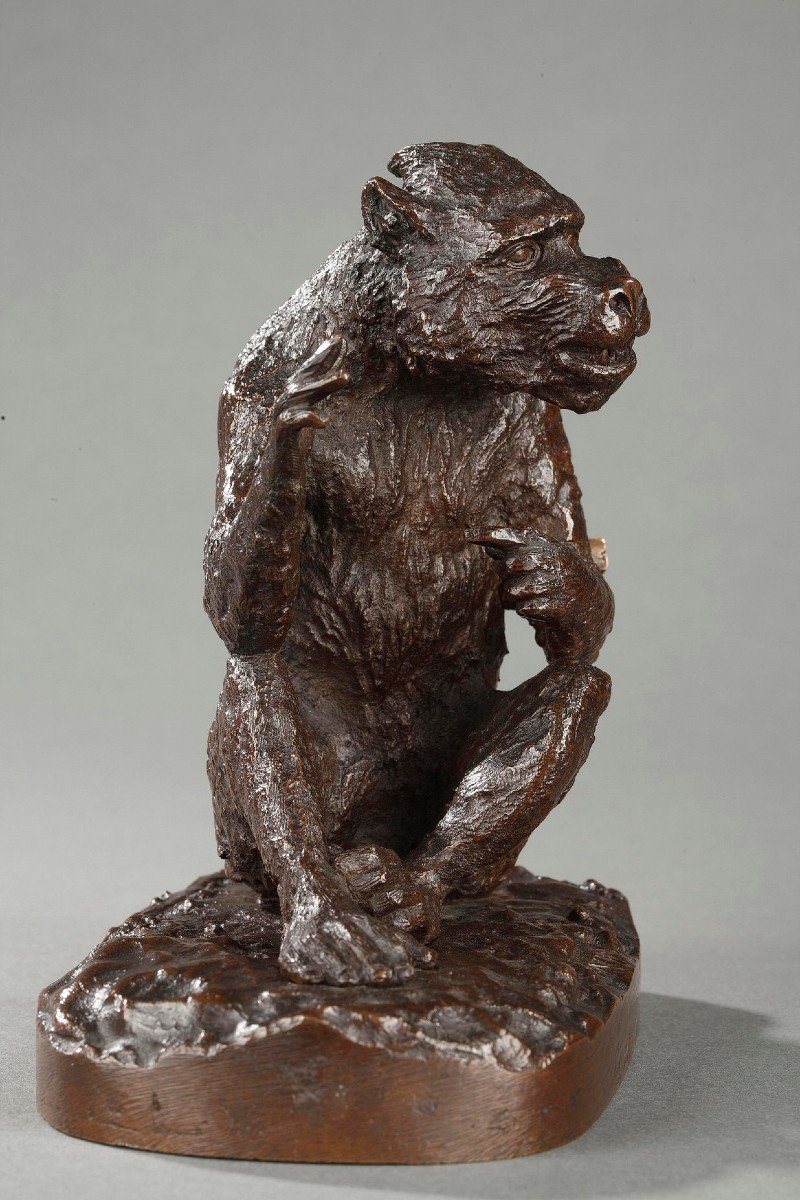 Monkey - Christophe Fratin (1801-1864)-photo-1