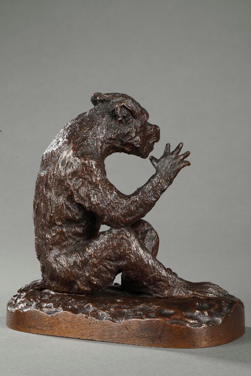 Monkey - Christophe Fratin (1801-1864)-photo-3