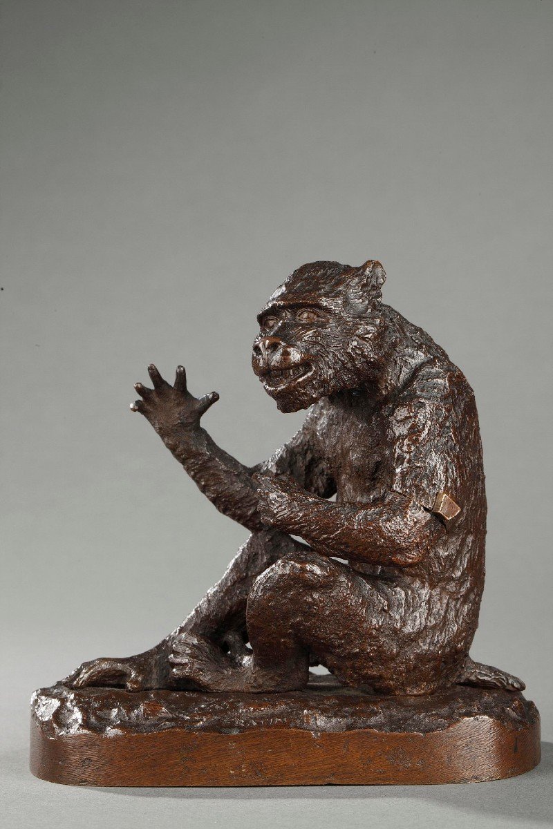 Monkey - Christophe Fratin (1801-1864)
